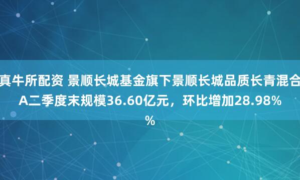 真牛所配资 景顺长城基金旗下景顺长城品质长青混合A二季度末规模36.60亿元，环比增加28.98%