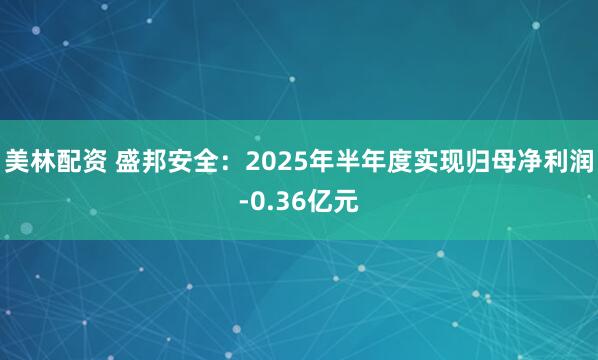 美林配资 盛邦安全：2025年半年度实现归母净利润-0.36亿元