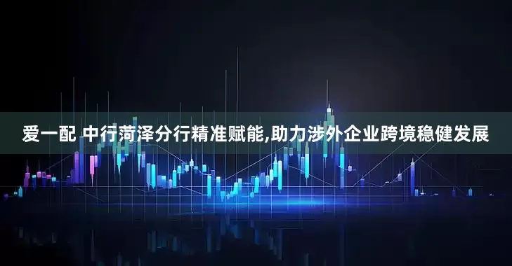 爱一配 中行菏泽分行精准赋能,助力涉外企业跨境稳健发展